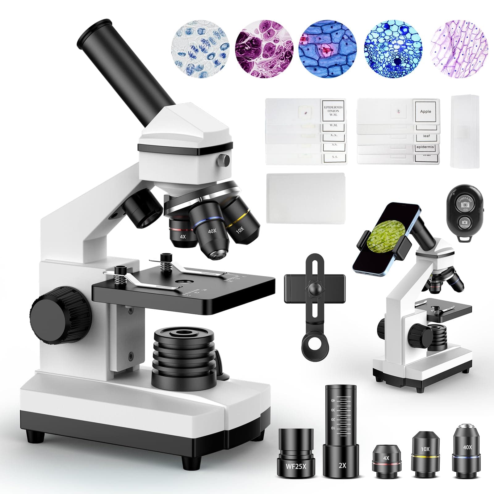 PalliPartners 100X-2000X Compound Microscope Kit