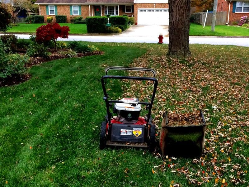 A homeowner mowing a green suburban lawn with a cordless battery-powered lawn mower on a sunny morning