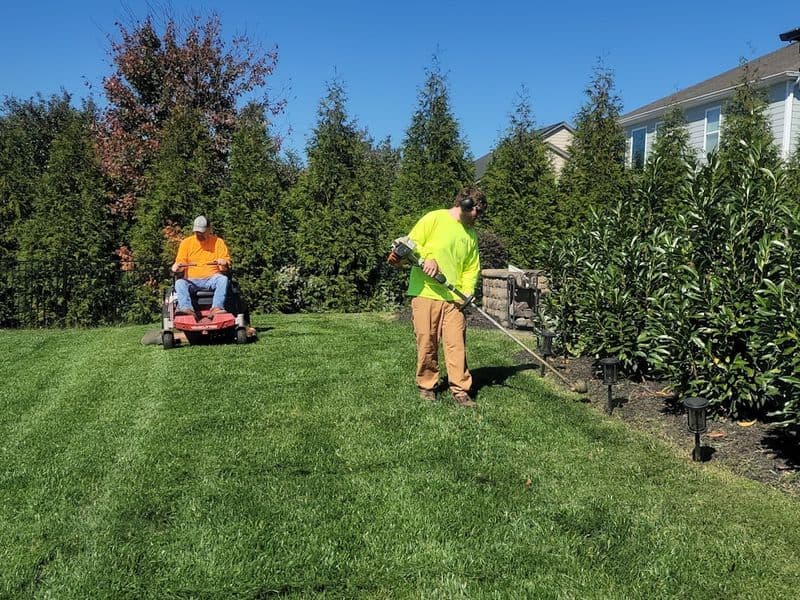 A person mowing a healthy green lawn with a walk-behind mower