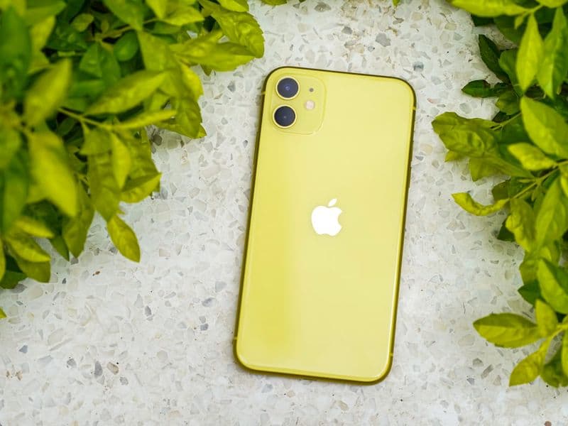 CANSHN translucent matte magnetic iPhone 16 case shown front and back
