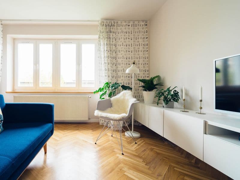 Cozy finished basement living space where a whole-room dehumidifier would keep humidity in check
